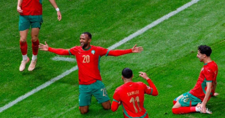 Lions de l'Atlas