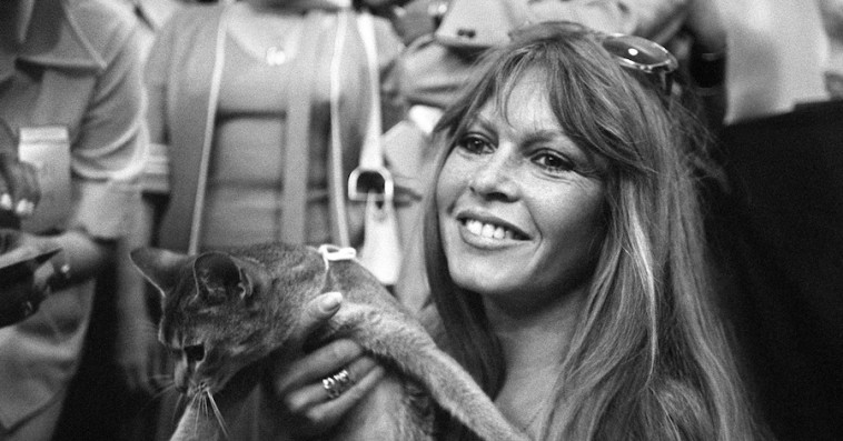 Brigitte Bardot