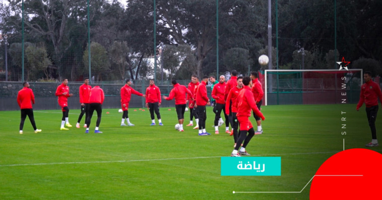 أسود الأطلس