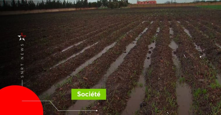 Agriculture