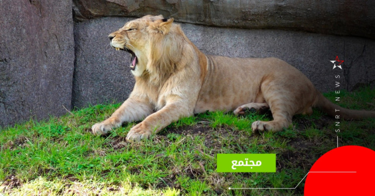 حديقة الحيوانات عين السبع