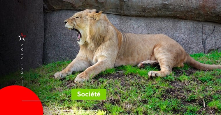 Zoo