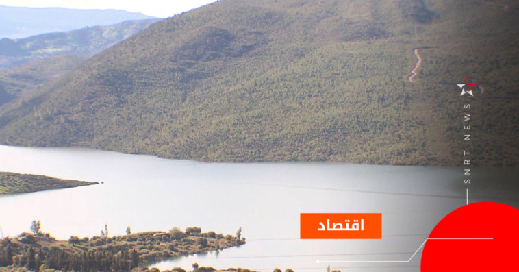حوض