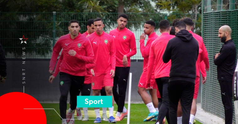 Lions de l'Atlas