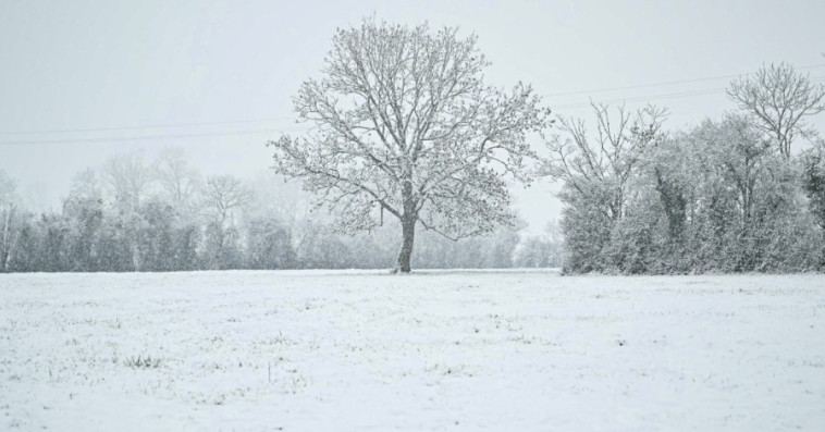 neige