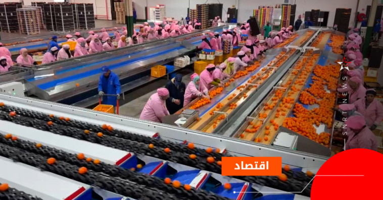 الحوامض