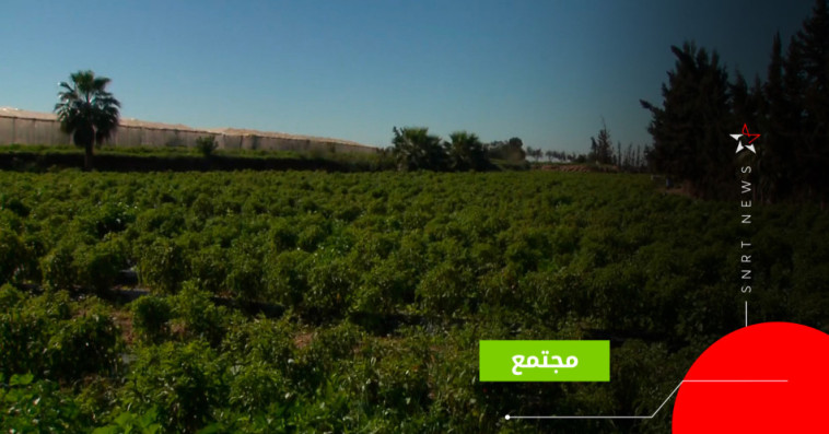 سهول هوارة 