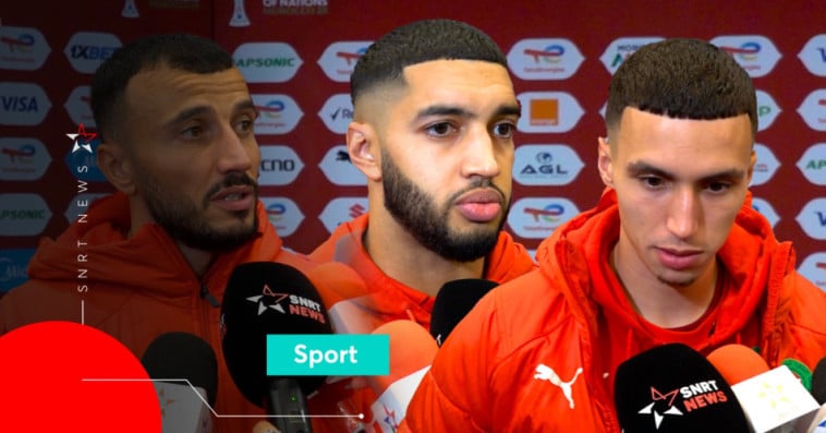 Lions de l'Atlas