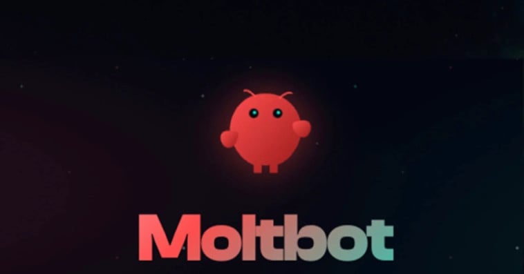 Moltbot/Clawdbot