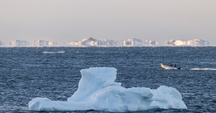 Iceberg