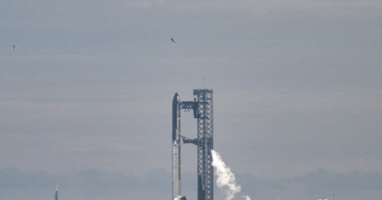 Space X 