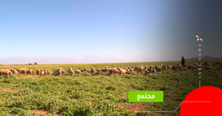 فلاحة بمراكش
