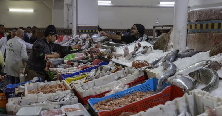 Consommation poisson