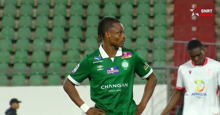 husa vs raja