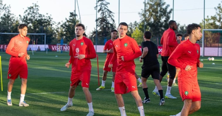 Lions de l'Atlas