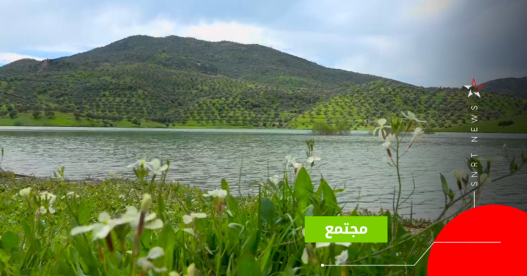 taounat