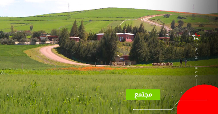 khemissat