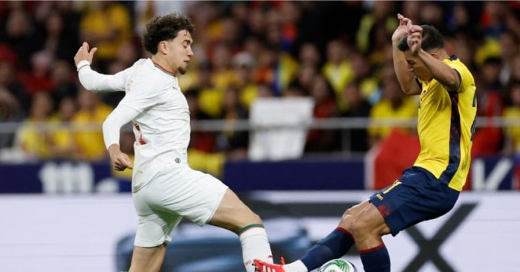 اللاعب نائل العيناوي من مباراة المغرب والإكوادور