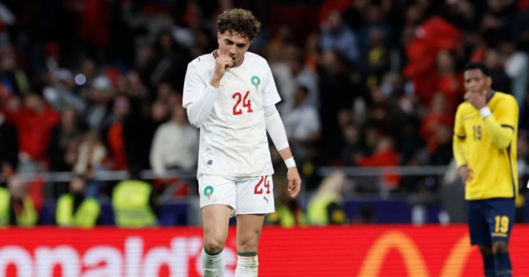 Neil El Aynaoui