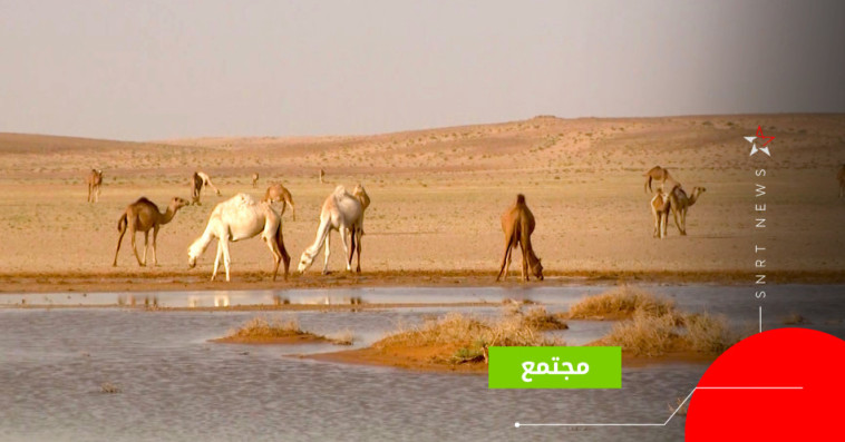 dakhla