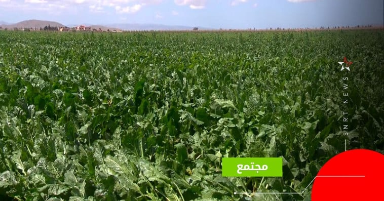 فلاحة