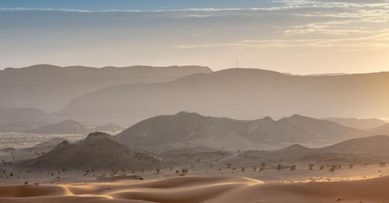 معرض "في البحث"