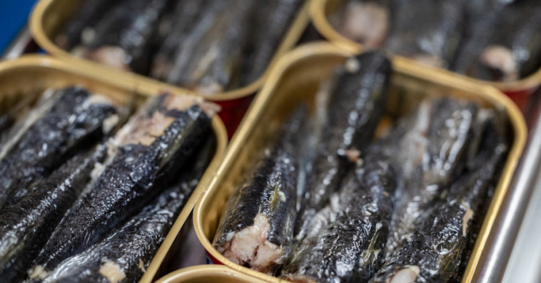 sardine