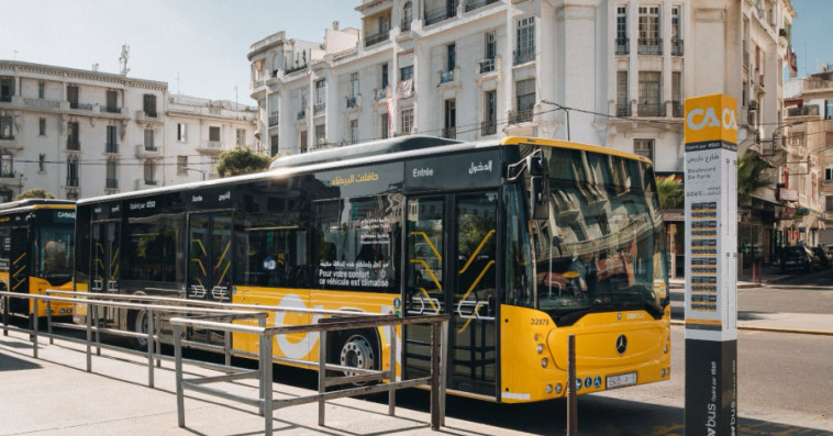 Alsa Bus