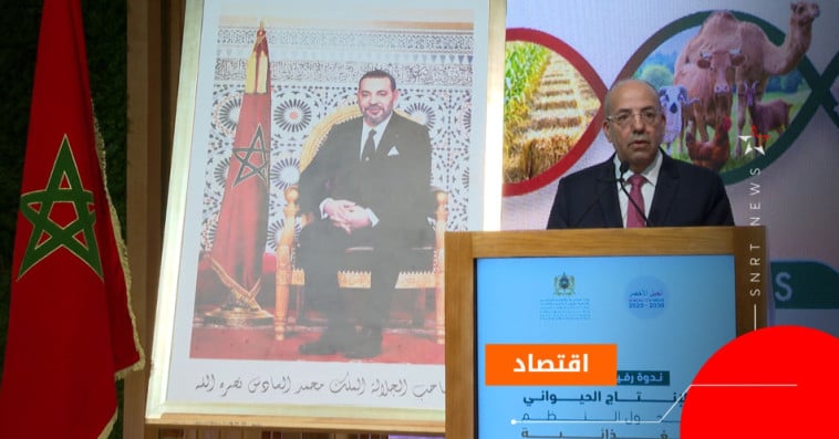 أحمد البواري