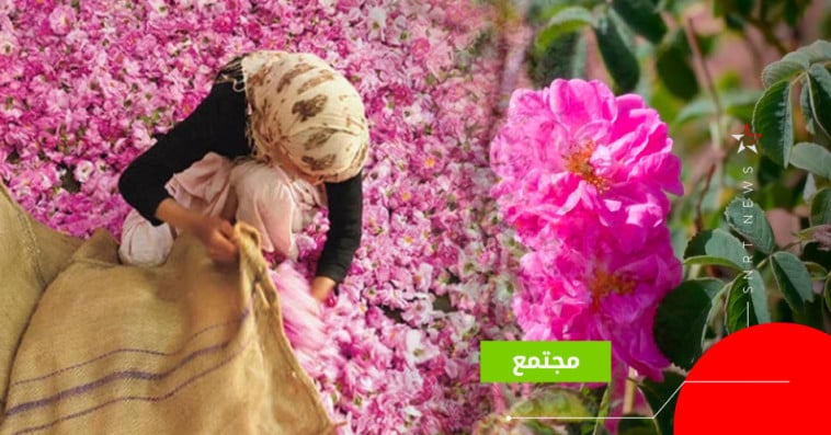 قلعة مكونة