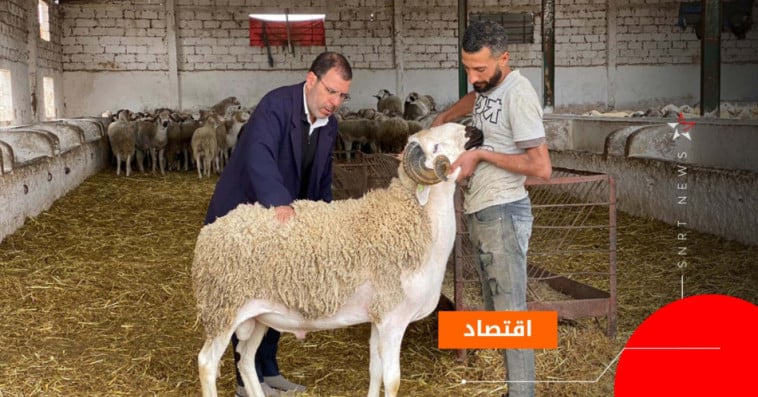 عيد الأضحى