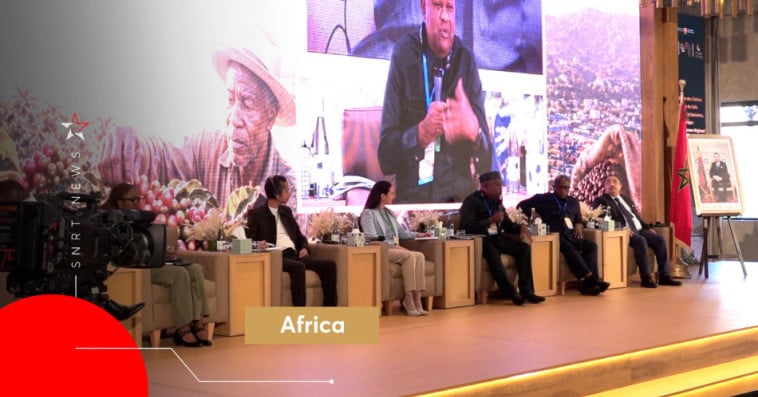 African Coffee Hub