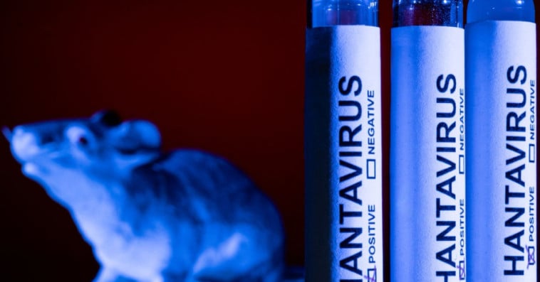 Hantavirus