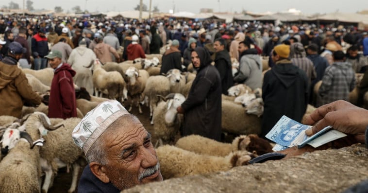moutons