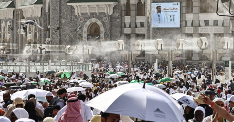الحجاج