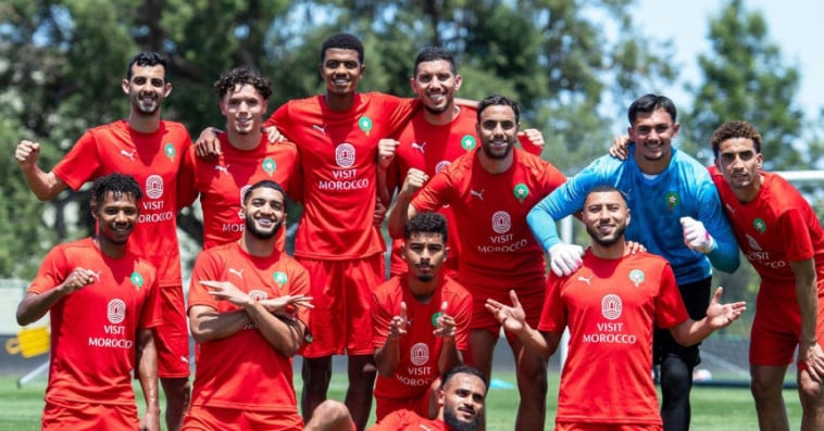 Lions de l'Atlas 