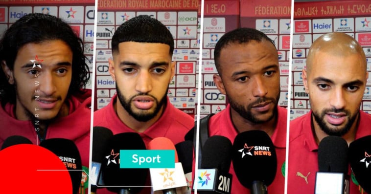 Lions de l'Atlas