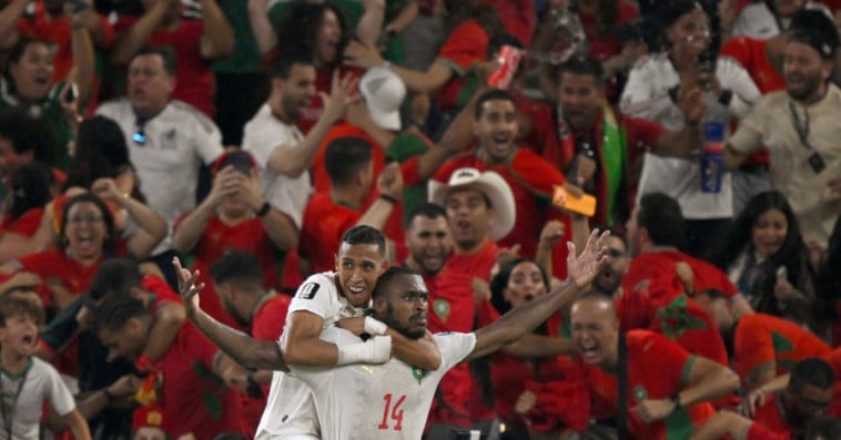 Lions de l'Atlas