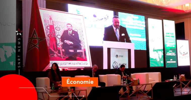 Arab Union for Energy & Minerals (AUEM)