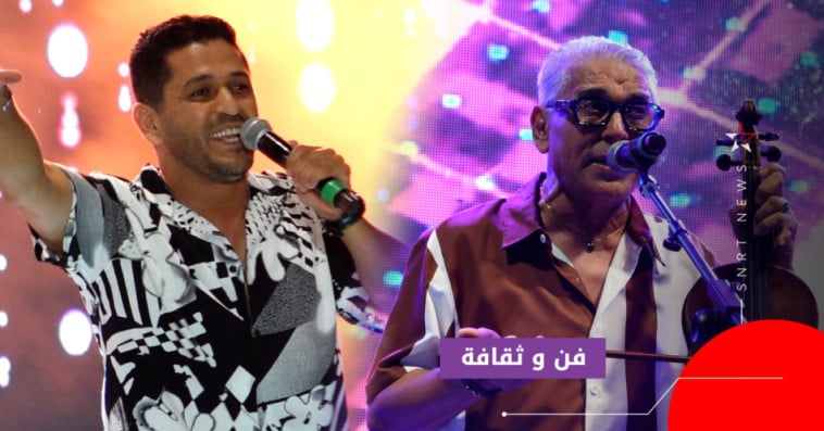الراي